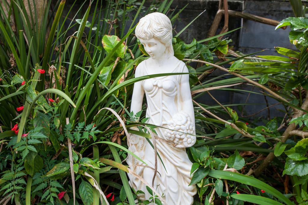 Elindale House Bed & Breakfast Lismore Exterior foto